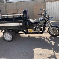 ستوته • كامله • مكفوله