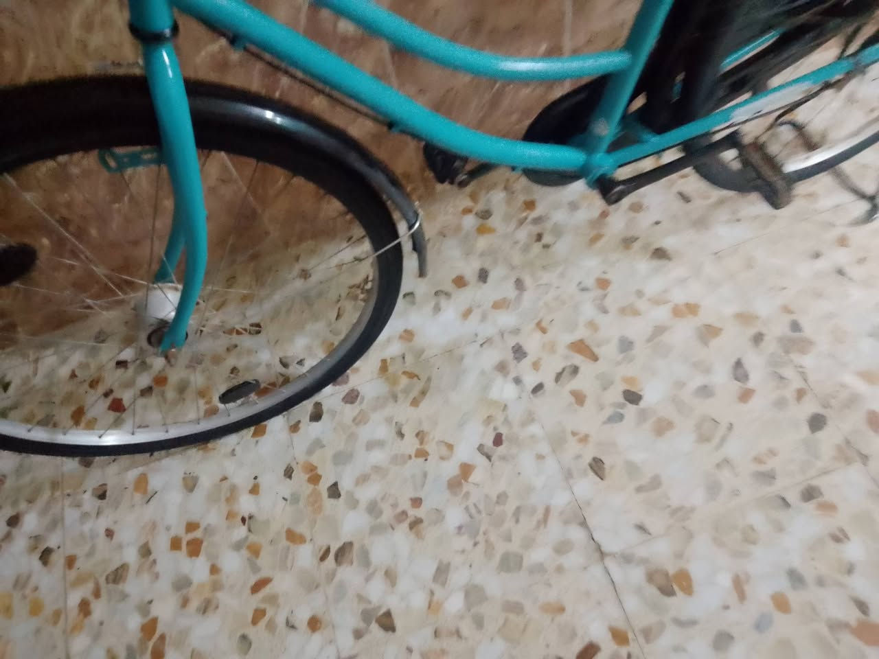 السلام عليكم بايسكل للبيع حجم 26 مكان واسط نعمانيه حي الحسين السعر خاص


**إذا كنت صاحب هذا الإعلان وتريد حذفه لأي سبب، رجاءا أرسل رسالة إلى الدعم الفني**