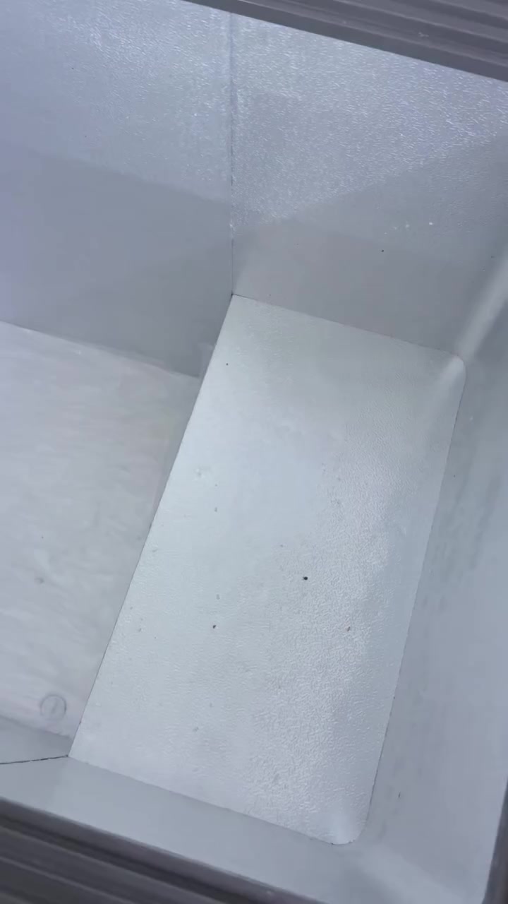 مجمدة هايننز اخت الجديدة كلش نظيفه


**إذا كنت صاحب هذا الإعلان وتريد حذفه لأي سبب، رجاءا أرسل رسالة إلى الدعم الفني**