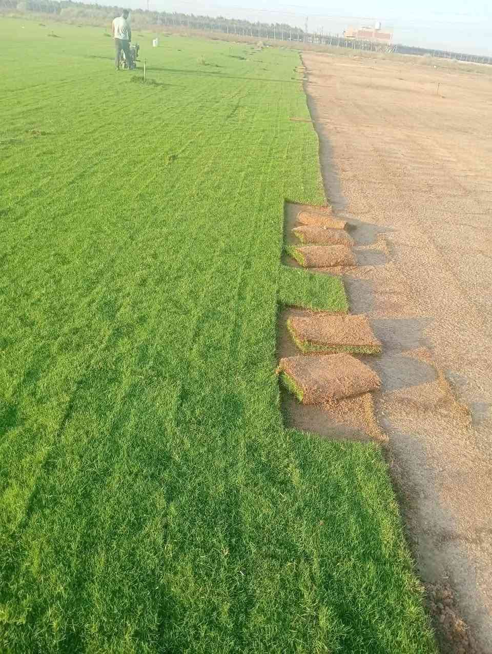 باسعار ثيل ديالى الطبيعي 🏡
أهلاً بكم في مجموعه مزارع ابو عباس  الثيل الطبيعي مزارع ديالئ  🌿🌱
 نقدم لكم افضل انوع الثيل الطبيعي عالي الجوده يتحمل كافه الضروف البيئية.🌦️🌞
دائم الخضرة🌿🌳 وباسعار تنافسيه ☘️❤️
#مستعدون لتجهيز وفرش الحدائق🏡 ودوائر الدولة🏡والمنازل🏡🏡
و تجهيز الملاعب🏟️ والمنتزهات الجودة العالية في العمل👷👷

مع خدمة التوصيل خلال24ساعه🚛🚛
الاسعار 💵💸 تختلف حسب الكمية 
للاستفسار الاتصال على : الرقم 
او التواصل مع الصفحه  او ارسال رسالة على الوتساب ‏‪***********
