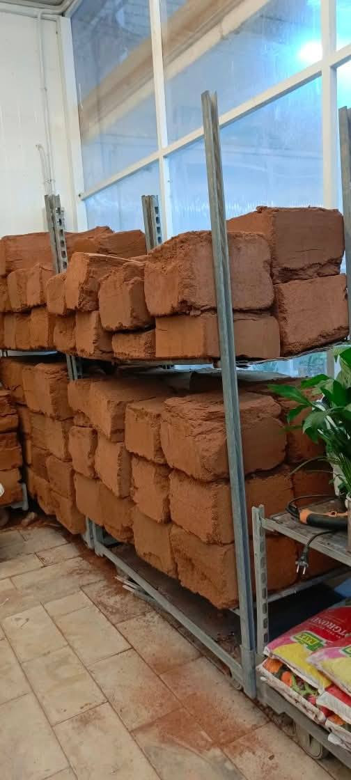 Coco peat قشور جوز الهند مكبوس
ارقى وسط زراعي وتربة للنباتات الظلية 
تايلندي المنشأ 
من تايلند الينا مباشرة 
صفر املاح + نقاوة عالية جداً
عند غمره بالماء 
يكون ٧٠ لتر من التربة الصالحة لزراعة كافة النباتات الظلية
سعر القطعة 
15000 توصيل مجاني
 الف دينار فقط


**إذا كنت صاحب هذا الإعلان وتريد حذفه لأي سبب، رجاءا أرسل رسالة إلى الدعم الفني**