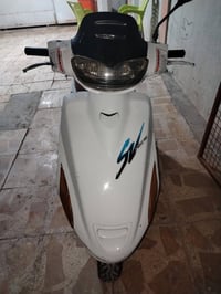 فراشة • فحل • دسك