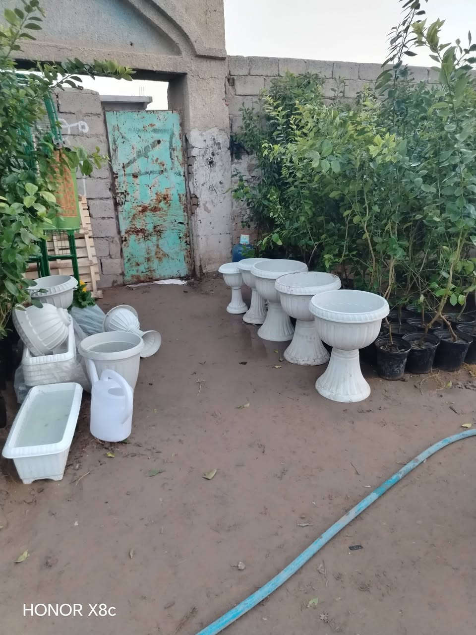 تم تجهيز مشتل قصر الصنوبر
جاهزين لتجهيز كافه الحدايق والبساتين 

كافه انواع الحمضيات+ ورد.


**إذا كنت صاحب هذا الإعلان وتريد حذفه لأي سبب، رجاءا أرسل رسالة إلى الدعم الفني**