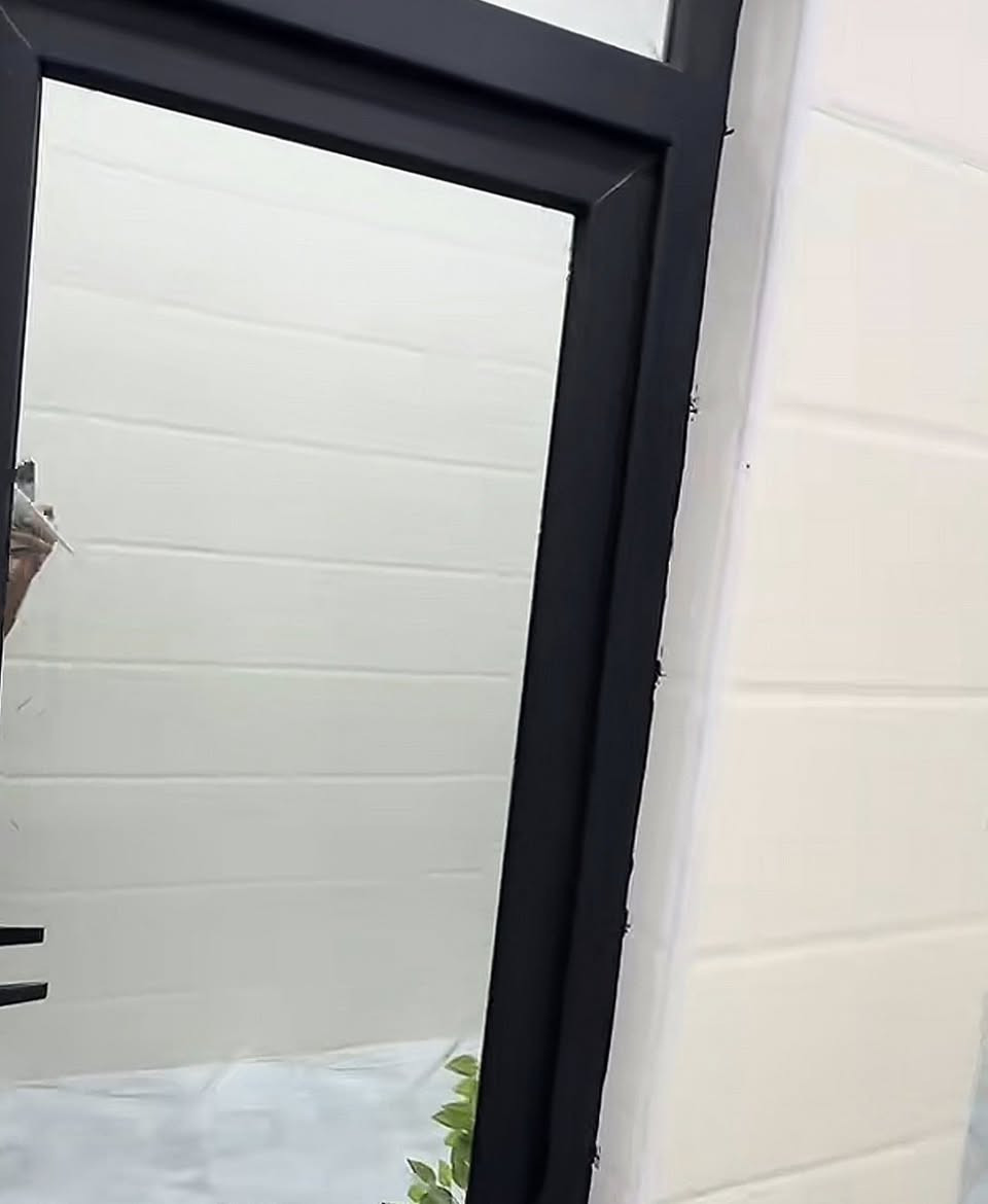 مستعدون لعمل كافه الأبواب الالمنيوم فقط
والمحجرات والكاونترات ب أسعار تنافسيه في بغداد


**إذا كنت صاحب هذا الإعلان وتريد حذفه لأي سبب، رجاءا أرسل رسالة إلى الدعم الفني**