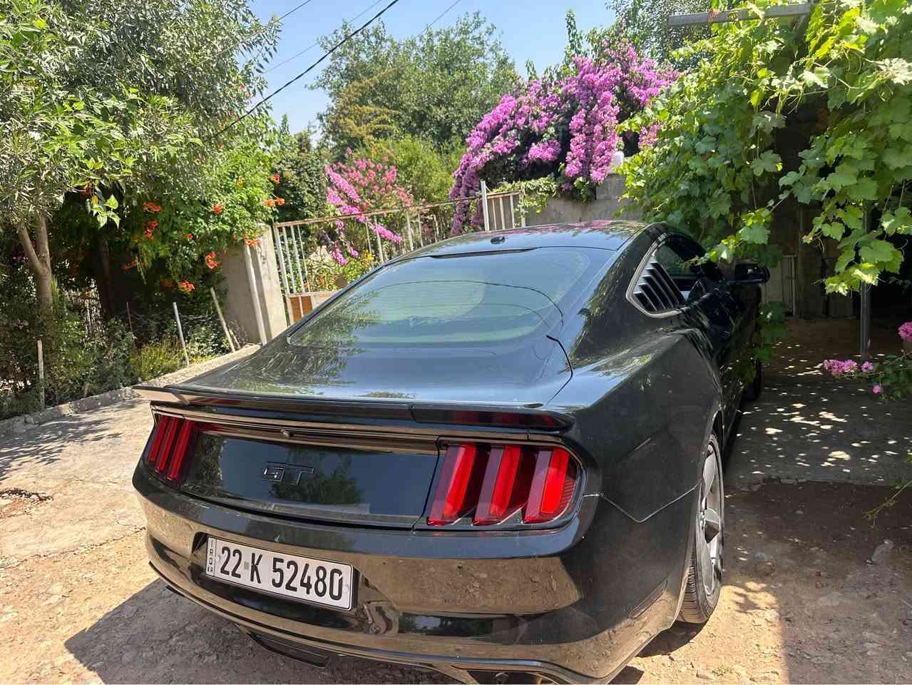 سلاو موستانگ ٢٠١٧
فول فول موسفات
کوشن جلد کوشن ساردو گرم تحكوم سورعه
شاشه گەورە گیر سپۆرت کامیرا 
سنەوی بە سەر جووە بەناوی خۆمەوەیە
مەکینە ٤ تۆربو
سعری ١٠٣ گەلا مجالی تیدایە
ژمارە واستاپ***********
***********

مرحباً، موستانج 2017
كاملة المواصفات
وسائد جلدية، وسائد هوائية باردة ودافئة، مثبت سرعة
شاشة كبيرة، كاميرا رياضية
شعار "سناوي" على رأس السيارة
محرك 4 أسطوانات تيربو
السعر 103 جنيهات إسترلينية
رقم واتساب: ***********
*********** حلبجة, السليمانية
