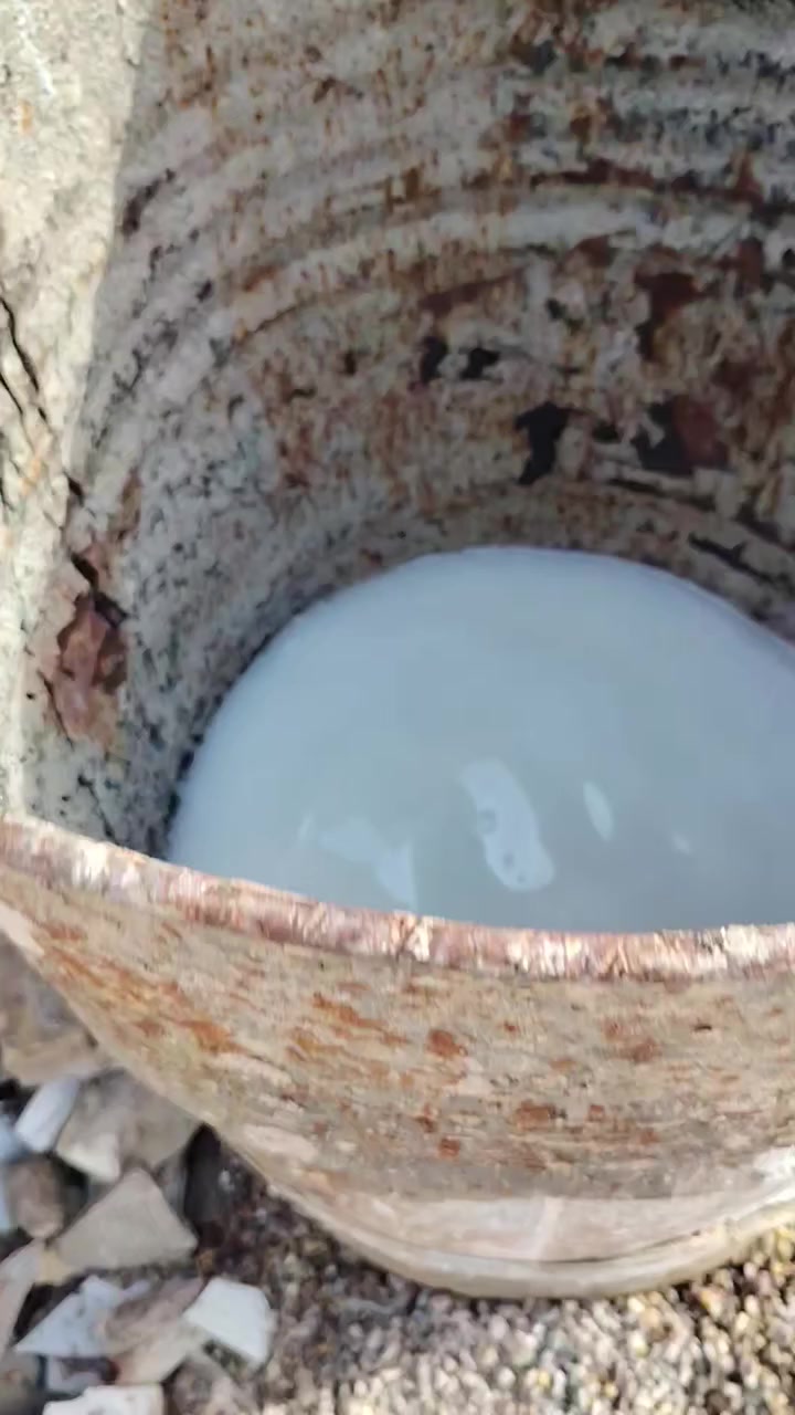 السلام عليكم توجد خباطه صب كافت الارضيات والاساس والممرات والرباطات وحدل التربه وتدخيل سبيس وفرش نايلون رش مبيدات الارضه عمل درجه الأولى الاتصال على الرقم *********** واتساب موجود عمالنا في كربلاء بابل النجف الديوانيه بغداد***********
