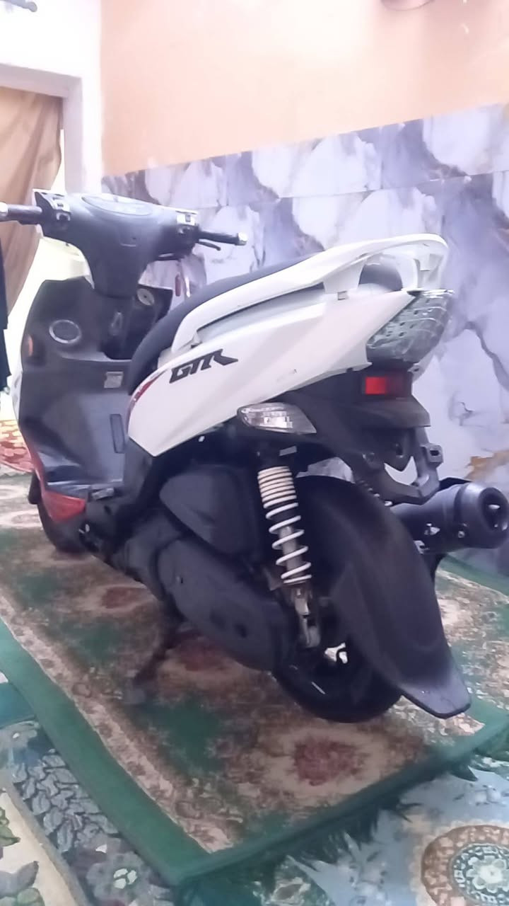 سلام عليكم جيتي ار للبيع
كفالة عامة مكينة و كفر ختم واحد دراجة صالة سبوع طالع من رمبة بعدهة حتة ما مبولشة بيهة ملاح يخبل موديل 14بيهة وصل معرض و منفيس دراجة بعدهة بل كارتون والله مكاني بغداد سعر خاص او
***********
