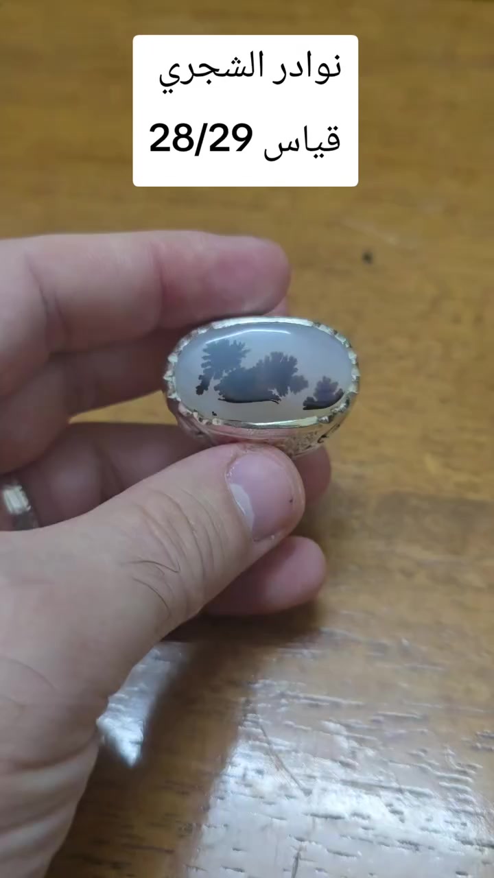 شجري يماني سعر 110


**إذا كنت صاحب هذا الإعلان وتريد حذفه لأي سبب، رجاءا أرسل رسالة إلى الدعم الفني**