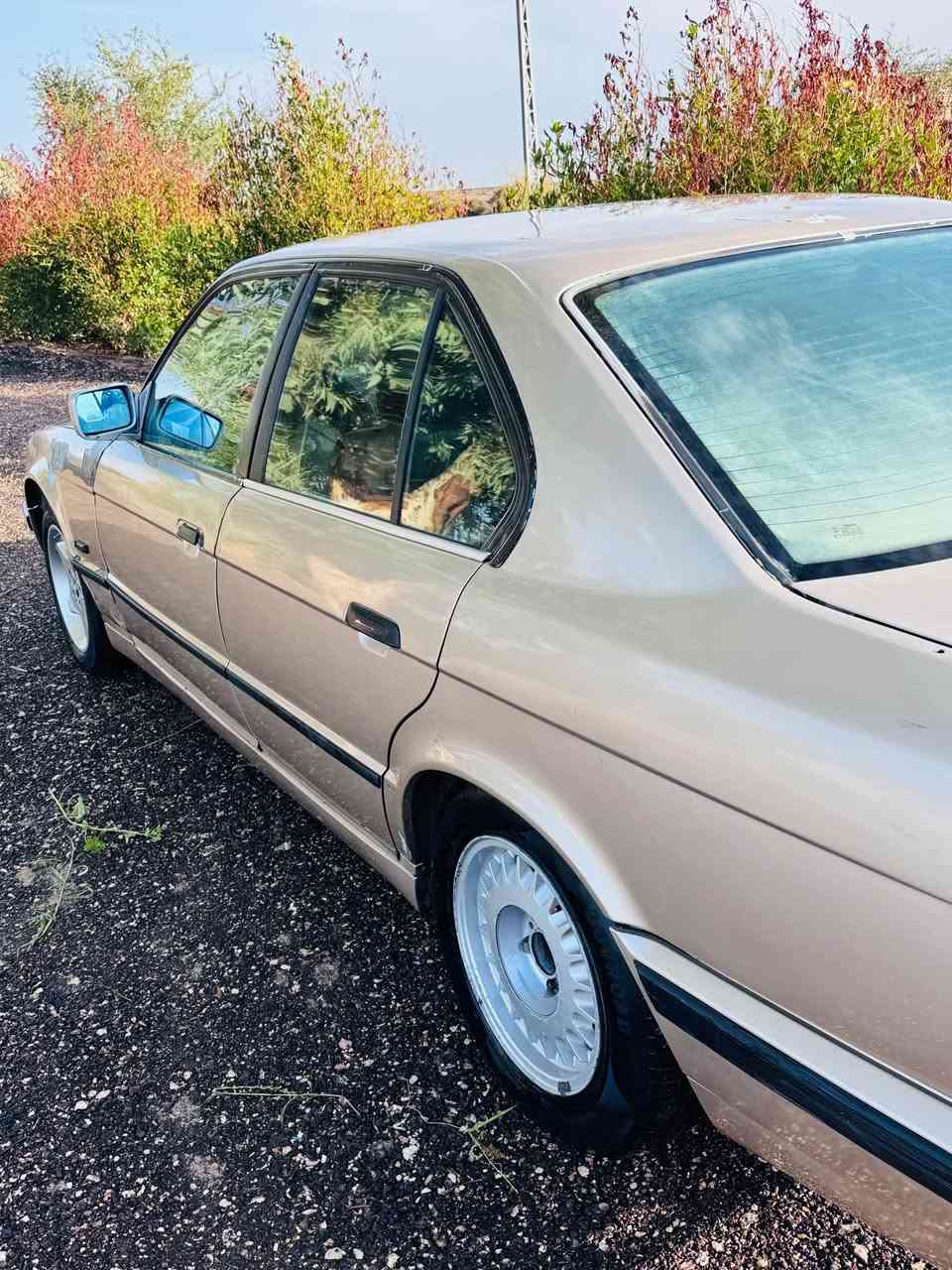 يا الله للبيع أو مراوس بي ام ٥٢٥
موديل ٩١ ررقم ذيقار مداور 
السياره حلوه شوف العين 
جاهزه حداديه تخم تاير 
غرفه جديده 
السياره حلوه وجاهزه 
السعر ٤٠
الاستفسار اكثر ***********بي واتساب ديوانية, القادسية
