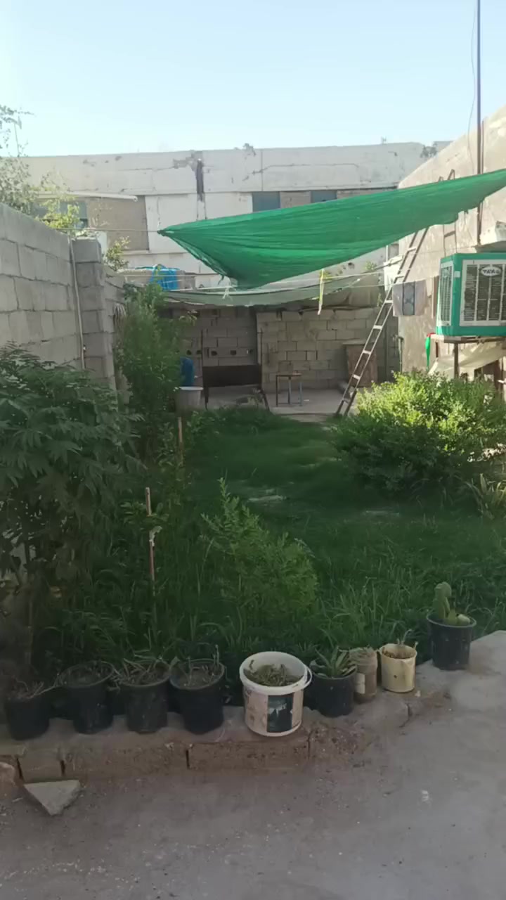 بيت للبيع
المكان البستنة قرب مدرسة الرازي الابتدائية 
للاستفسار الاتصال على هذا الرقم
***********
