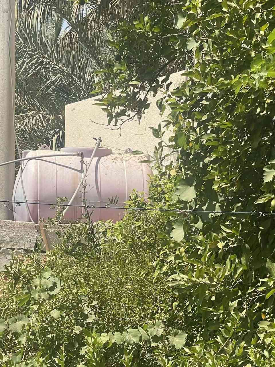 تانكيات عدد 2ابو ال1000واحد ابو ال500لتر جديدات مشدودات مكان بابل محاويل ناحية الامام العباره للاستفسار حصرا الاتصال على الرقم
***********
تانكيات عدد 2ابو ال1000واحد ابو ال500لتر جديدات مشدودات مكان بابل محاويل ناحية الامام العباره للاستفسار حصرا الاتصال على الرقم

