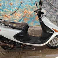 فراشة • جديدة • ما مفتوح