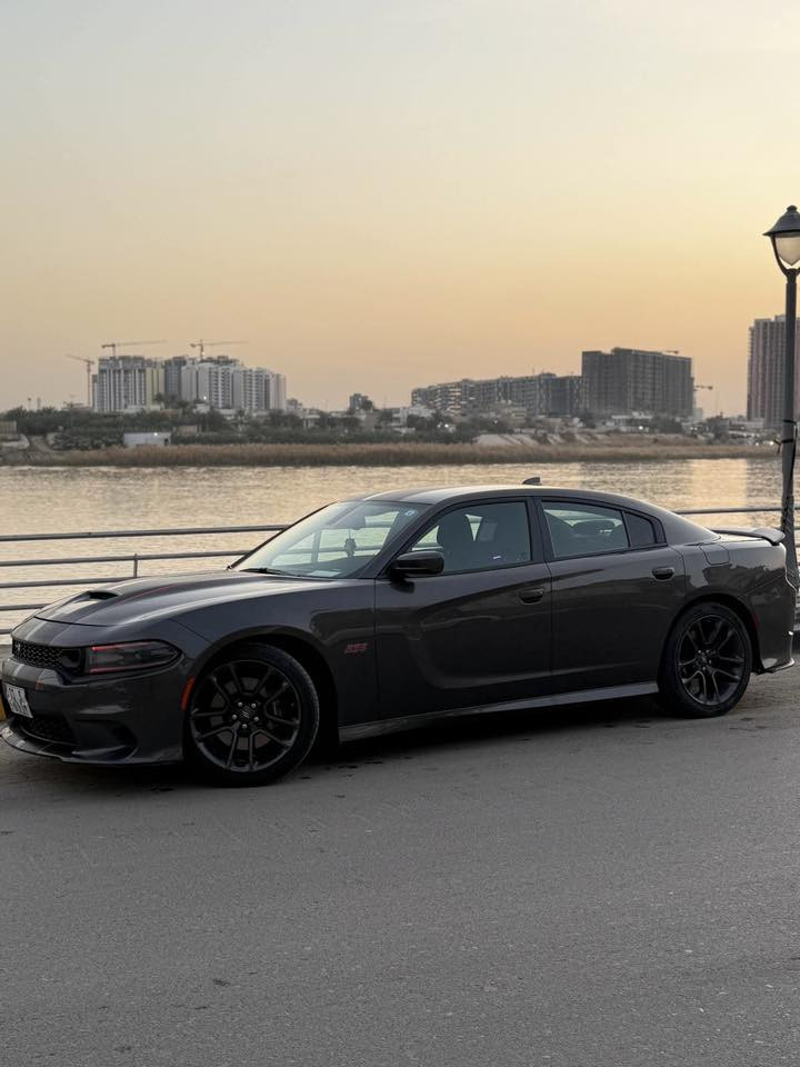 سلام عليكم
دودج جارجر سكات باك

موديل2021

عداد المسافة81000

مكينة v8 /6400 

سيارة كلش نظيفه  مكينة وكير مكفولات

حادث الأمريكي للسياره جاملغ خلفي راجع بارد فقط 
مثل ما موضح ب الصورة 

عليها الإضافات السيارا نشرات دشبول وسقف رولز رايز 

وستيرن رياضي  و Dg  سيستم دمام العدد 7 محيطي

سعرها بدون الدركة 23000 

واذا ويه الدركة 24000 وبيها مجال للشراء 

ملاحظة اقبل مراوس فرق من شدة وفوق  

 للتواصل اكثر عن السيارة : ***********
