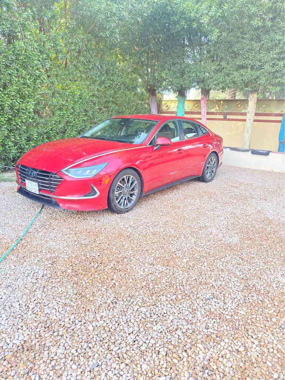 سوناتا 2021 وارد امريكي صور الحادث بل منشور بدون ارباك جاملغ خلفي وقبق جنطه صبغ رقم مثنى معوقين باقي سنه وصير حره وكاله من المالك جديد ه كير محرك تبريد تخم تاير اصلي جديد توني شاده سعر138 مكاني نجف ***********
