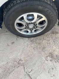 تخم ويل مجلي ومصبوغ بلون الحجل كامل  اريد مراوس بويل عادي حديد  078161...