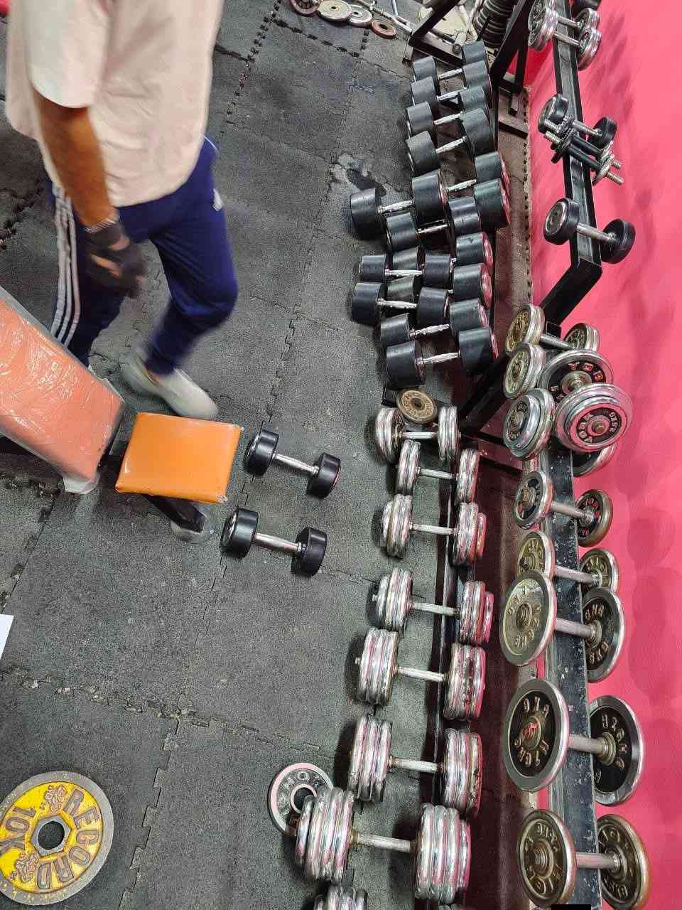 بسم الله وعلى بركة الله
ثم بأدارة الكابتن ياسر السامرائي
مع قاعة جم الخضراء المطورة حديثآ 💪
ومع بدء موسم فصل الصيف جدد واشتري صحتك وبسعر اشتراك مناسب جدآ جدآ ب((٢٠)) الف فقط شهريآ شامل كورس الكابتن والاشراف على الاعب اثناء وبعد التمرين

2.كما يوجد اشتراك يومي ((٢٠٠٠)) دينار فقط

العنوان (سامراء)❤️ ، نهاية حي الخضراء الثانية ، على شارع حولي الخضراء المثنى ، بجوار الضريبة فوق اسواق الخليج  .

القاعة مفتوحة على مدار الاسبوع بلا توقف ولا عطل من الساعة الثالثة عصرآ الى الساعة 12 ليلآ .
وأهلا بالجميع


**إذا كنت صاحب هذا الإعلان وتريد حذفه لأي سبب، رجاءا أرسل رسالة إلى الدعم الفني**