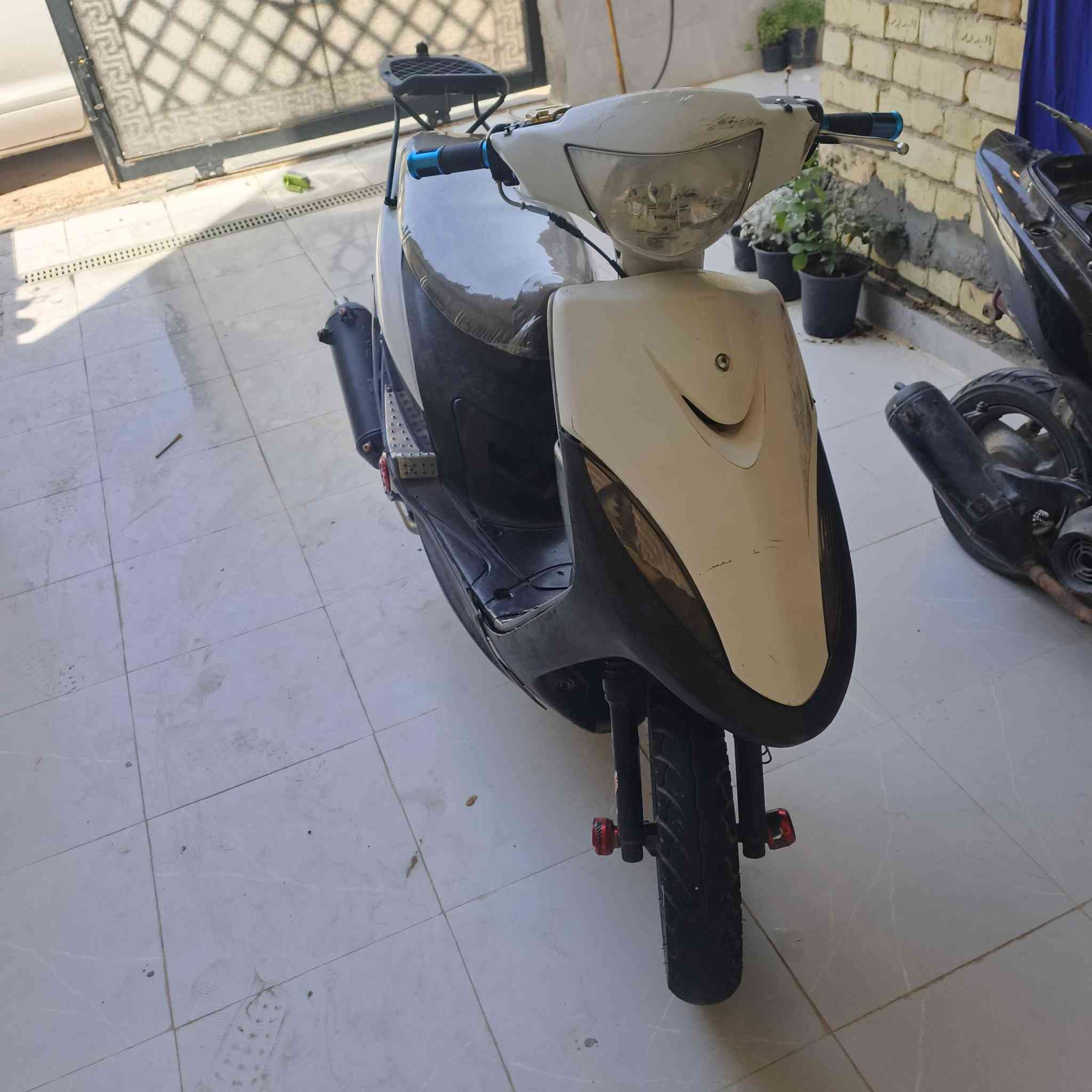 للبيع ختم واحد  بلادية مبيهة اي نقص ***********
