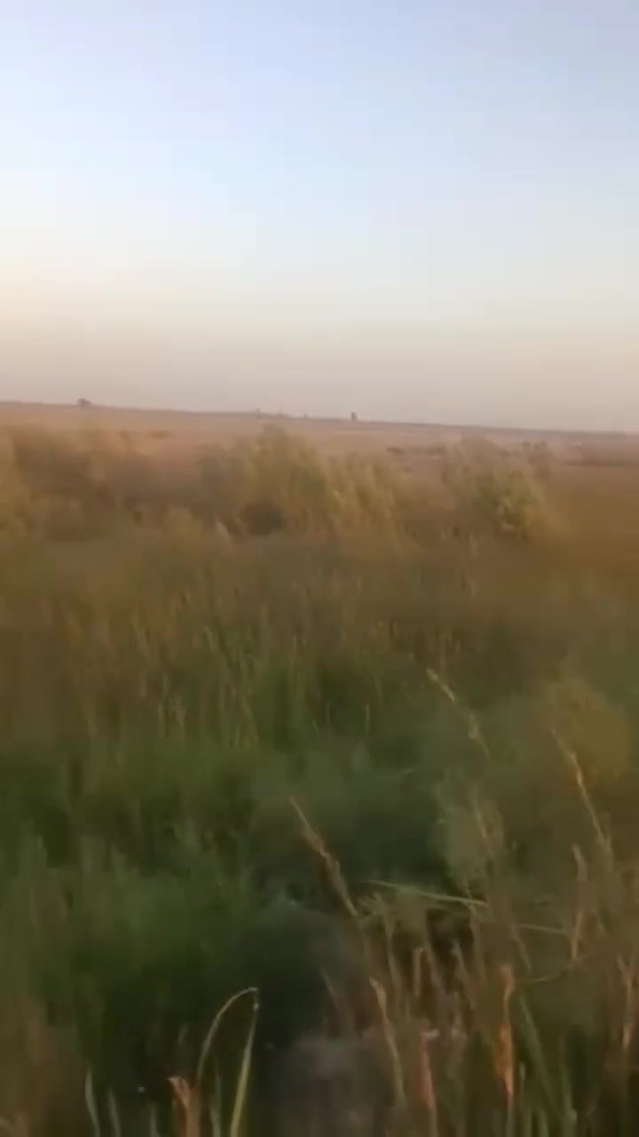 السلام عليكم 
ارض زراعيه للبيع مساحة مفتوحه من دونم الى 30 دونم علئ نهر للسقي وكهرباء قريبه
صالحه للزراعه والسكن او بناء دواجن او بحيرات  بسعر مناسب جدا  للدونم  
موقعها طريق سوق فضليه خلف سكة القطار 
جاهزه من كل الخدمات 
للاستفسار اتصال 
***********
