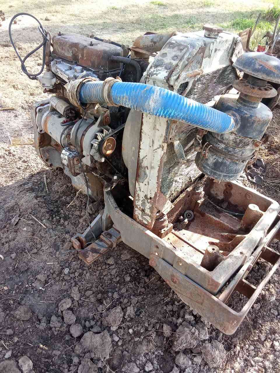 محرك فوركسن زنجيل نكليزي. البيع ***********
