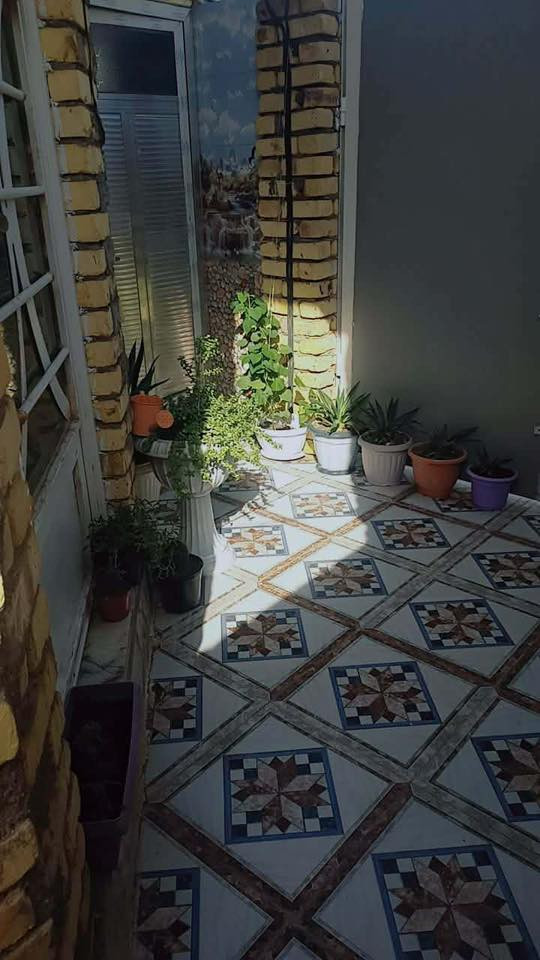 السلام عليكم 
مشتمل للبيع مساحة ١٠٠ متر 
المكان الكوت الجديدة قرب توزيع الداحرة ومجمع السكني نجم الدين 
طابو صرف زراعي تحويل سهم بالاسم 
للاستفسار الاتصال ***********
