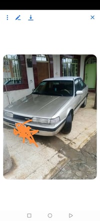 مازده 626 • حمام العليل • صبغ عام