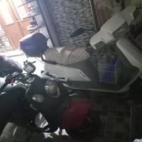 شغالات • مراوس