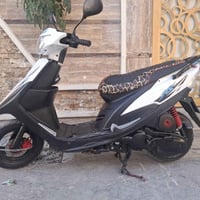 ماكس • عدله جديدة • أوراق كاملة