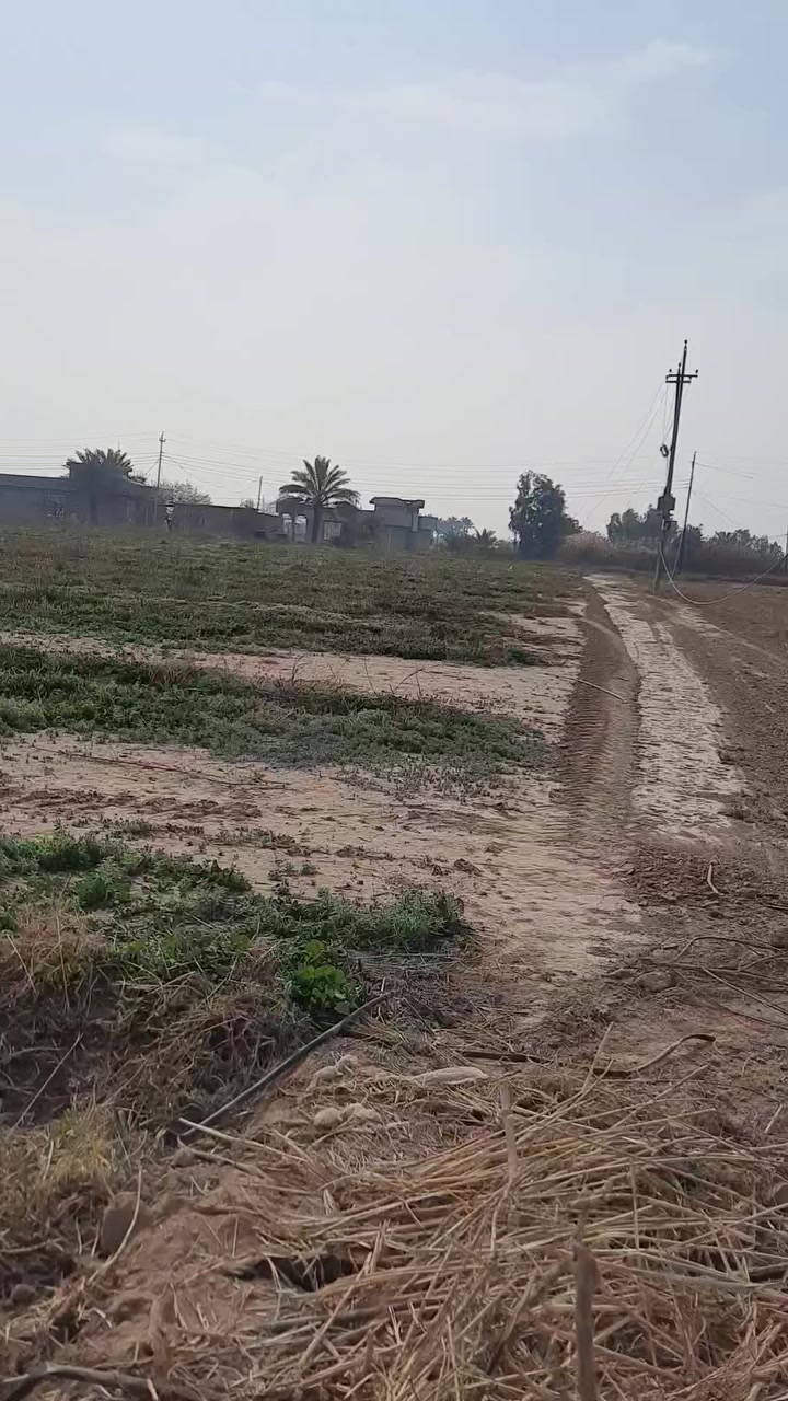 سلام عليكم ورحمة الله وبركاته قطعه الأرض للبيع المساحه 3 دوانم الاستفسار على هاذ رقم ***********
