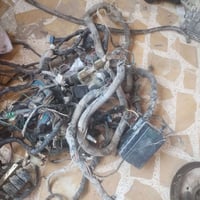 بروتون ويرا • نضيف • توصيل