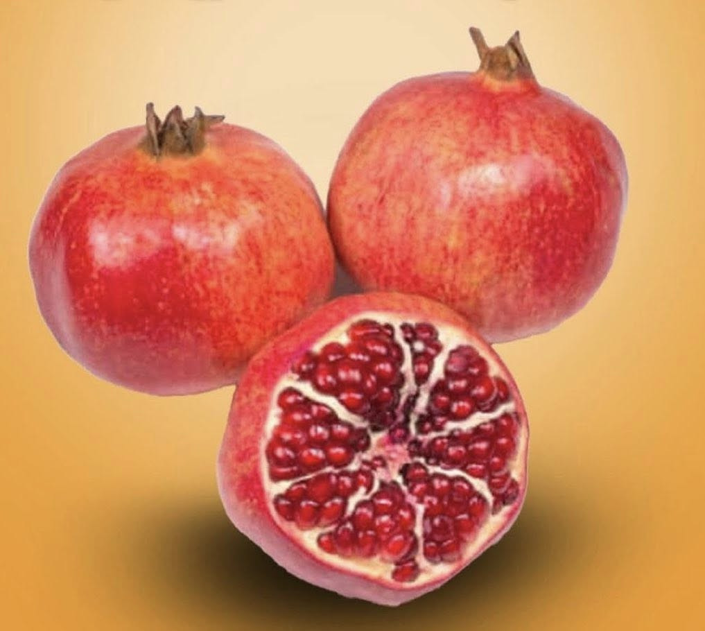 اسعار اليوم (الطلب الي سعره 15.000(توصيل 2000) 
#ابيتك_خليك_مسواكك_يجيك
من ديوانيه هايبر  Diwaniyah Hyperكلشي يوصلك للبيت ***********
#عرض سموج اا SMOG(كيلو ونص سمك)شوي 11.000
#دجاج_حي خشن ذبح ((7500))

طماطا 500
بطاطا750 (3ب2000)
باذنجان 750  (3ب2000
خيار ايراني 750 (3ب2000
خيار عراقي 1000 
شجر 750 (3ب2000)
بصل حار بنفسجي 750 (3ب2000)
بصل طولاني 1000
بصل اخضر 750  (3ب2000)
بصل بارد 750 (3ب2000)
سبيناغ (سبزي) مال النجف 1500
باقلاء خضراء 2000
رارنج 1250
قرنابيط 750 (3ب2000)
خس  1000
فلفل حار وزن 500غ 1000
فلفل بارد1000
فاصوليا خضره 2500
ذره كيس 1000
ثوم شريط 1000 
لوبيا ______
شلغم750  (3ب2000)
شونذر750  (3ب2000)
افطر2000
لهانه حمره750
لهانه خضره750
خضره بأنوعها +سلك
.
#فواكه
.
فراوله بلم 1000
شمام 1000
تمر زهدي درجه اولى 1500
تمر حلاني 1000
تمر كاسه 2000
رمان سوري 2000
رمان مصري 1500
رمان يمني ————
عنب حلواني مستورد500غ 1500
تفاح اصفر 1500
تفاح احمر1250
تفاح اخضر3000
منكا قطعه كبيره 1750
ليمون اصفر 2000
ليمون اخضر _____
موز 🍌 1000
برتقال1750
لالنكي اخضر مصفر 1000
لالنكي برتقالي مشمع 1250
كيوي وزن 1500
كيوي بلم وزن 600غ 1000
كيوي مطعم بلفراوله 2000
عرموط 2500
بطيخ عراقي 1000
بطيخ ايراني 750
ركي 1000
دجاج حي 
سمك حي 
متوفر ايضاً
*مواد الاسواق بأنسب الاسعار
*دجاج وسمك حي
*مخبز 
*لحم عراقي طازج
*طرشي درجه اولى ممتاز
كل هذا يوصلك للباب من #ديوانيه_هايبر
مركز التسوق من9:00ص الى 9:00م
#ملاحضة التوصيل 2000 (للطلب السعره 15.000)
#الديوانية
