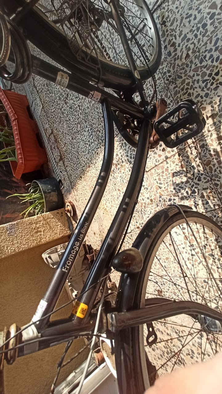 السلام عليكم بايسكل سياحي حجم 26 لون نفطي صدفي الجسد نضيف كلش حلو ناقصه تيوب وتكبين تاير ورا وزنجيل  فقط سعره 100 بي مجال بسيط عنواني القبله شارع المدارس
***********
