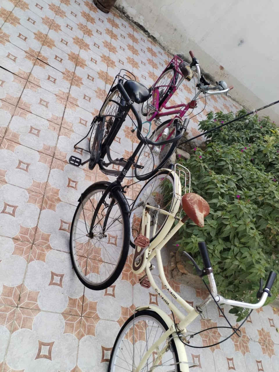 سلام عليكم بايسكلات للبيع شرايط خاص مناسب الرقم ***********
