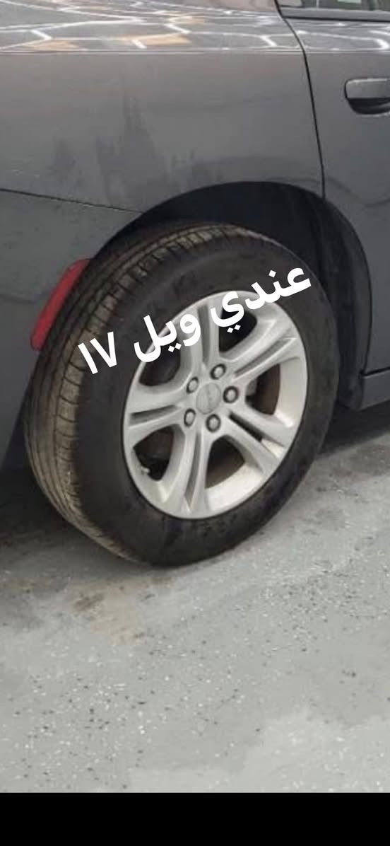 السلام عليكم ويل ٢٠ مراوس ويل ١٧


**إذا كنت صاحب هذا الإعلان وتريد حذفه لأي سبب، رجاءا أرسل رسالة إلى الدعم الفني**