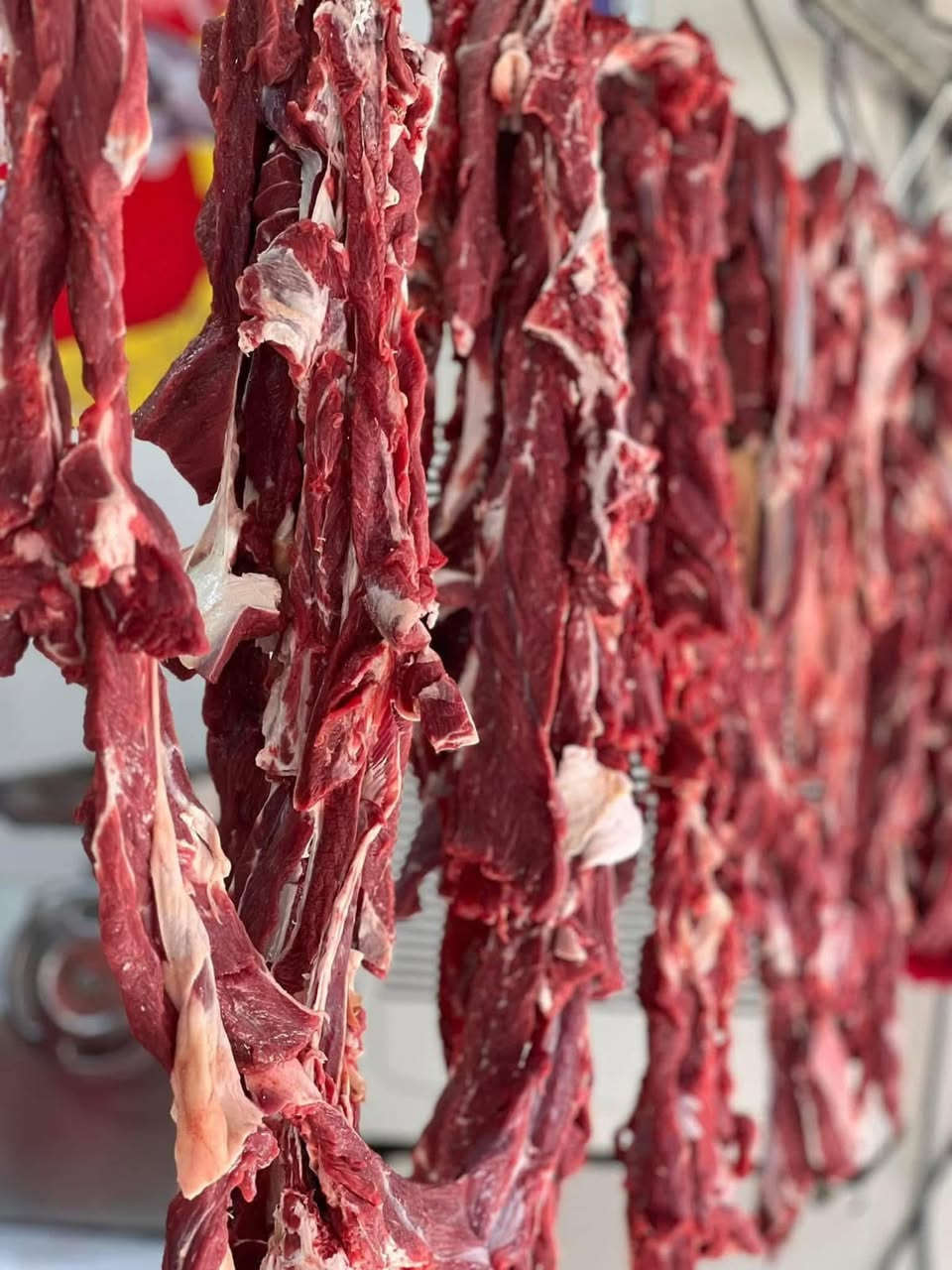 🥩 عروض مميزة من قصابية سيد أمير 🥩
إذا كنت تبحث عن اللحم الطازج والجودة المضمونة، فنحن بانتظاركم كل يوم بأفضل الأسعار.
💥 أسعار اليوم: 🥩 لحم غنم: 13,000 🥩 اللحم شرح: 12,000 🔥 كباب لحم: 10,000 (لفترة محدودة)
🚚 نوصل طلباتكم إلى جميع مناطق مدينة كربلاء بكل سرعة.
📍 العنوان: كربلاء – طريق الحر – مقابل أسواق المائدة.
📞 للطلب: ***********
***********
🌟 قصابية سيد أمير
الطعم الأصيل... والجودة التي تستحق ثقتكم.
حياكم الله ونتشرف بخدمتكم.
