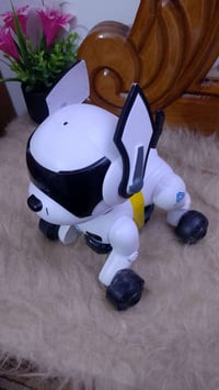 كلب روبوت • ريموت • توصيل مجاني