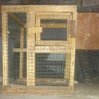 اقفاص • مشربه وبقالتين • حله مركز