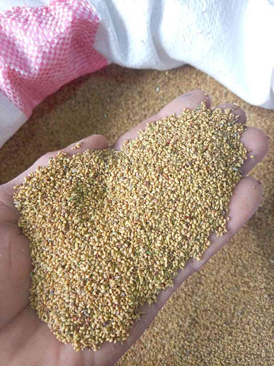 السلام عليكم
متوفر بذور جت صنف جيد سعر 11الف الكيلو
متوفر أنواع المبيدات والاسمده
مشتل ومكتب الزعفرانه


**إذا كنت صاحب هذا الإعلان وتريد حذفه لأي سبب، رجاءا أرسل رسالة إلى الدعم الفني**