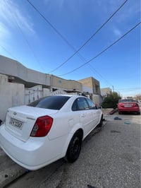 افيو • ٢٠١٠ • اربيل