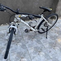 أوربيا • رنكات اصلية • بصرة تنومة