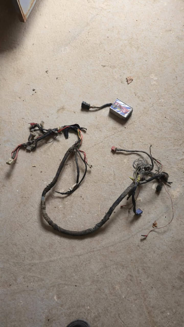 ضفيرته بيجي فحل وعقل رياضي  للبيع مكاني سماوه  حي النفط  ‏‪***********‬‏
