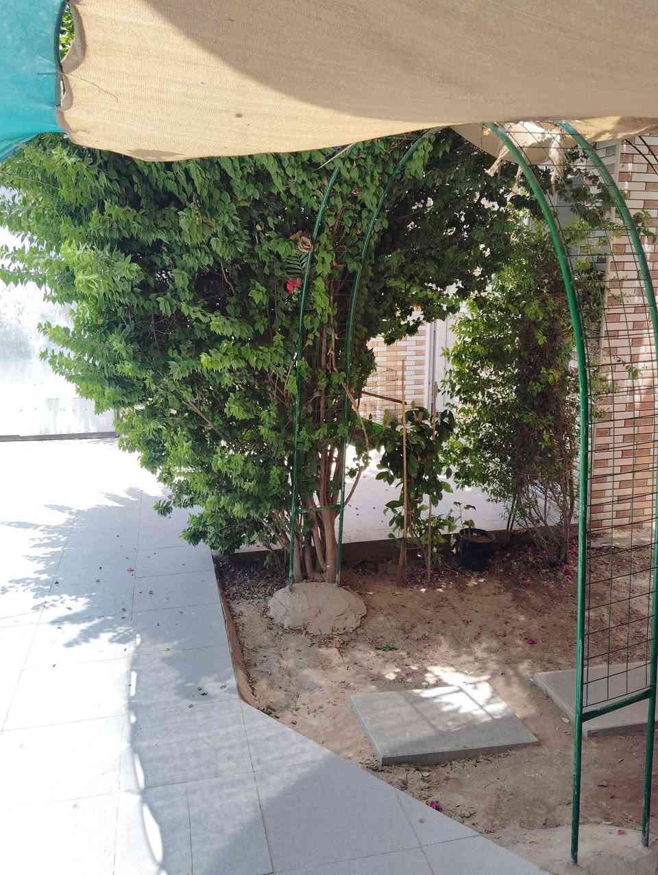 الدار للبيع المساحه 200متر طابو زراعي سند 25 الموقع بداية المعاره قرب المدرسه المعادن الحكمه يتكون من غرفه نوم وستقبال 8*4 +صاله+مطبخ حار+بارد+طارمه+حديقه بناء طابوق السقف صب كونكريت عرض الشارع 7متر تبليط البيت نضيف جدا جيران ذهب 
أي استفسار إتصال *********** 
أو مراجعة مكتب ابو زهراء التميمي شارع المواكب مقابل حسينية الخزرج
