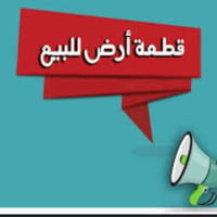 طابو زراعي • سند ٢٥ • ١٠٠م
