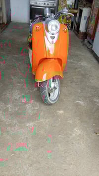 مصريه • نظيفه • سلف