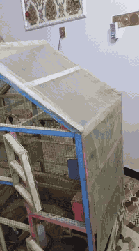 قفاصه مال طيور حب نضيفات جبير سعره 40وبي مجال زغير 20 تصال هذا رقم ***********
