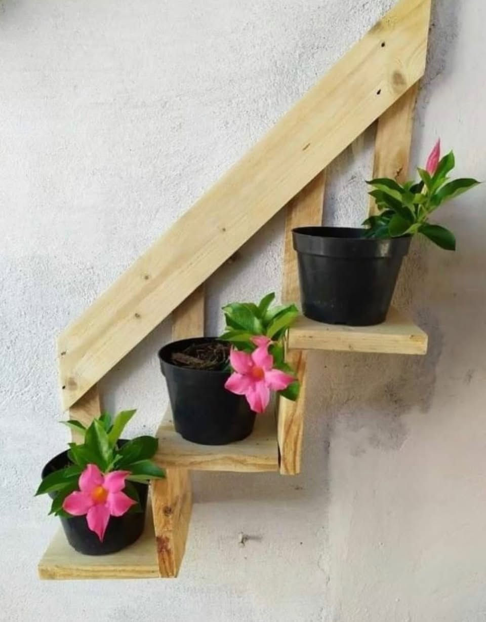 شغل خشب يتوفر حسب القياس المطلوب متوفر توصيل داخل الكوت 🤍#خشب #رفوف_حائط #ستاند_خشب #اكسبلور_explore #اكسبلور_فولو


**إذا كنت صاحب هذا الإعلان وتريد حذفه لأي سبب، رجاءا أرسل رسالة إلى الدعم الفني**