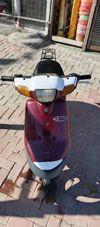 دراجة بطه • سلف • يم سوق برتقاله