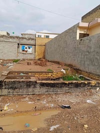 سياسين زراعي • ١٢٥م • قطعه