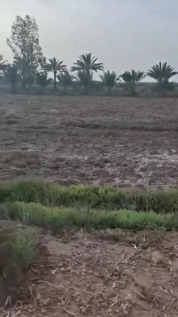 سلام عليكم ٧دونم  في كربلاء طابو سند ٢٥ وجهن٧٥متر وياهن بيت  للبيع طريق كربلاء نجف طريق ياحسين وتنزل ٢ كيلومنطقه الجذارخدمات كامله شارع تبليط عرضه ١٢ متر  مي كهرباء خط مولد مدارس التفاصيل اكثر اتصل ***********
 ***********
