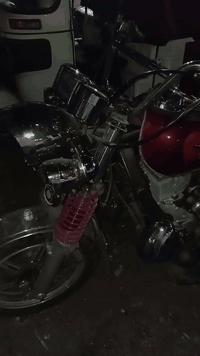 ألسلام عليكم ورحمة ستوته زيرو موديل ٢٠٢٤نوعيته صقر فحل السعر عله خاص هذا رقم ***********
