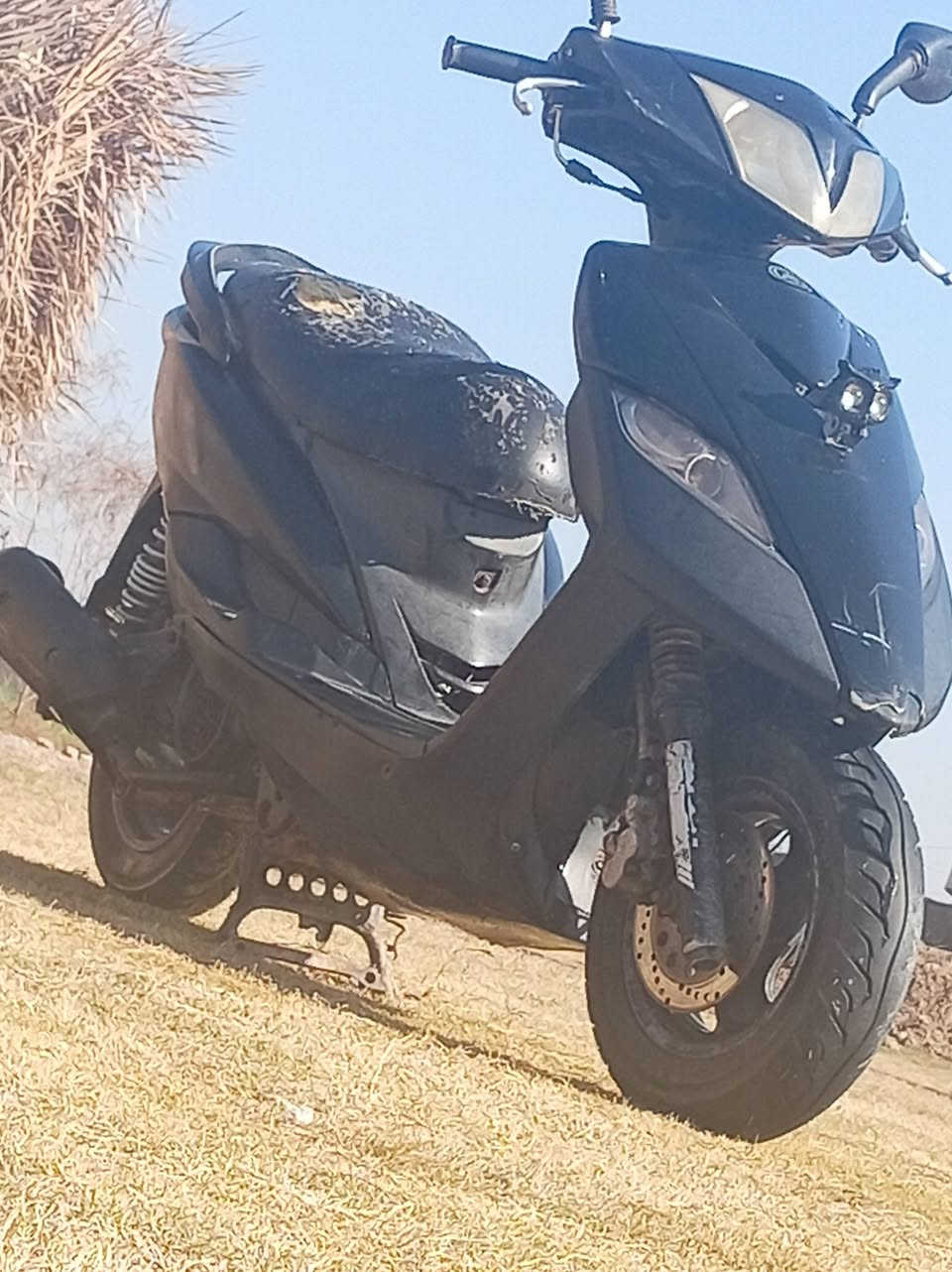 ماكس ثعلب للبيع مكفوله كفاله عامه مابيها اي نقص سعر ٣٥٠ وبيها مجال مكاني بغداد ابو غريب *********** بي وتساب
